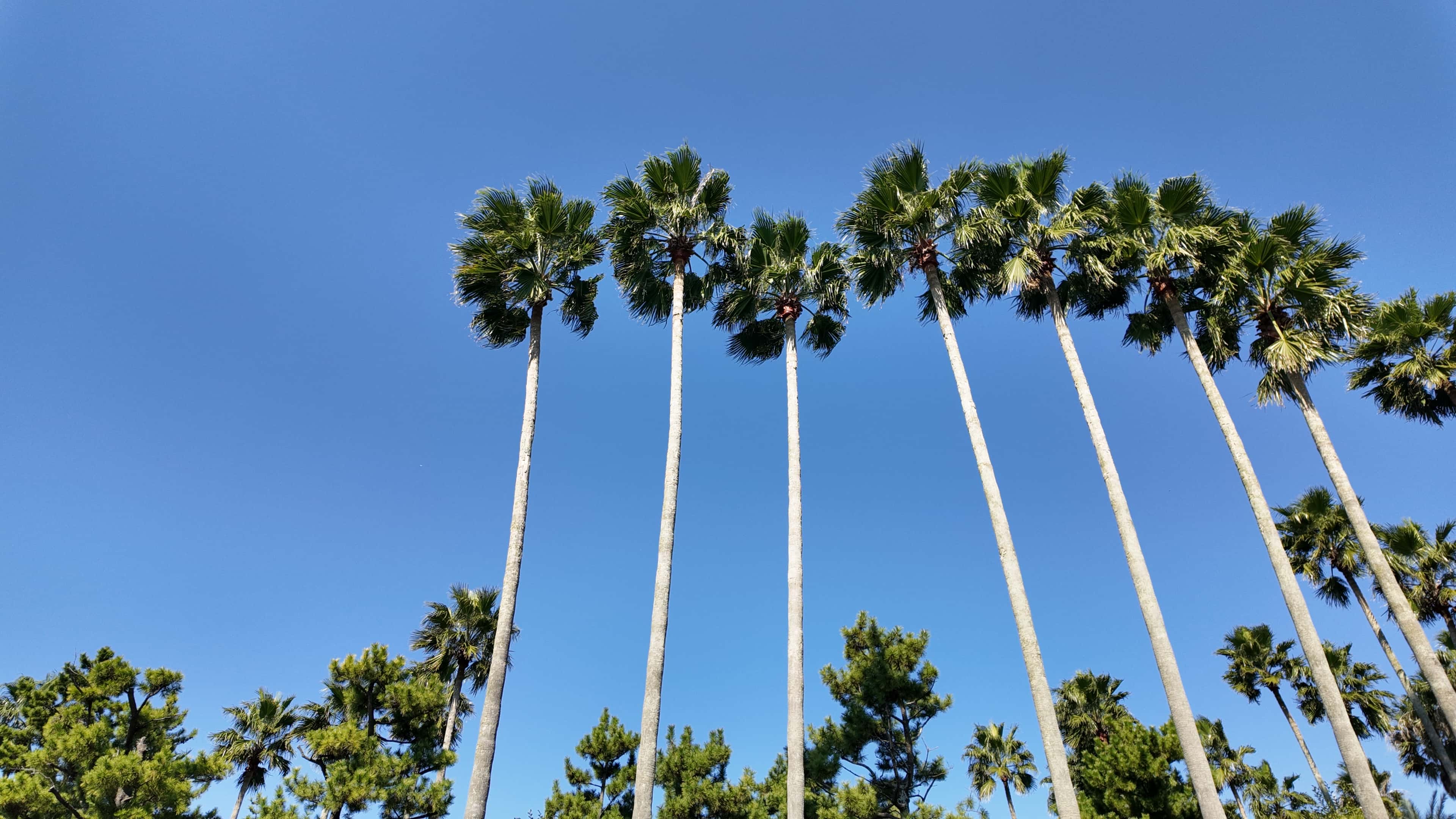 苦难是否有意义