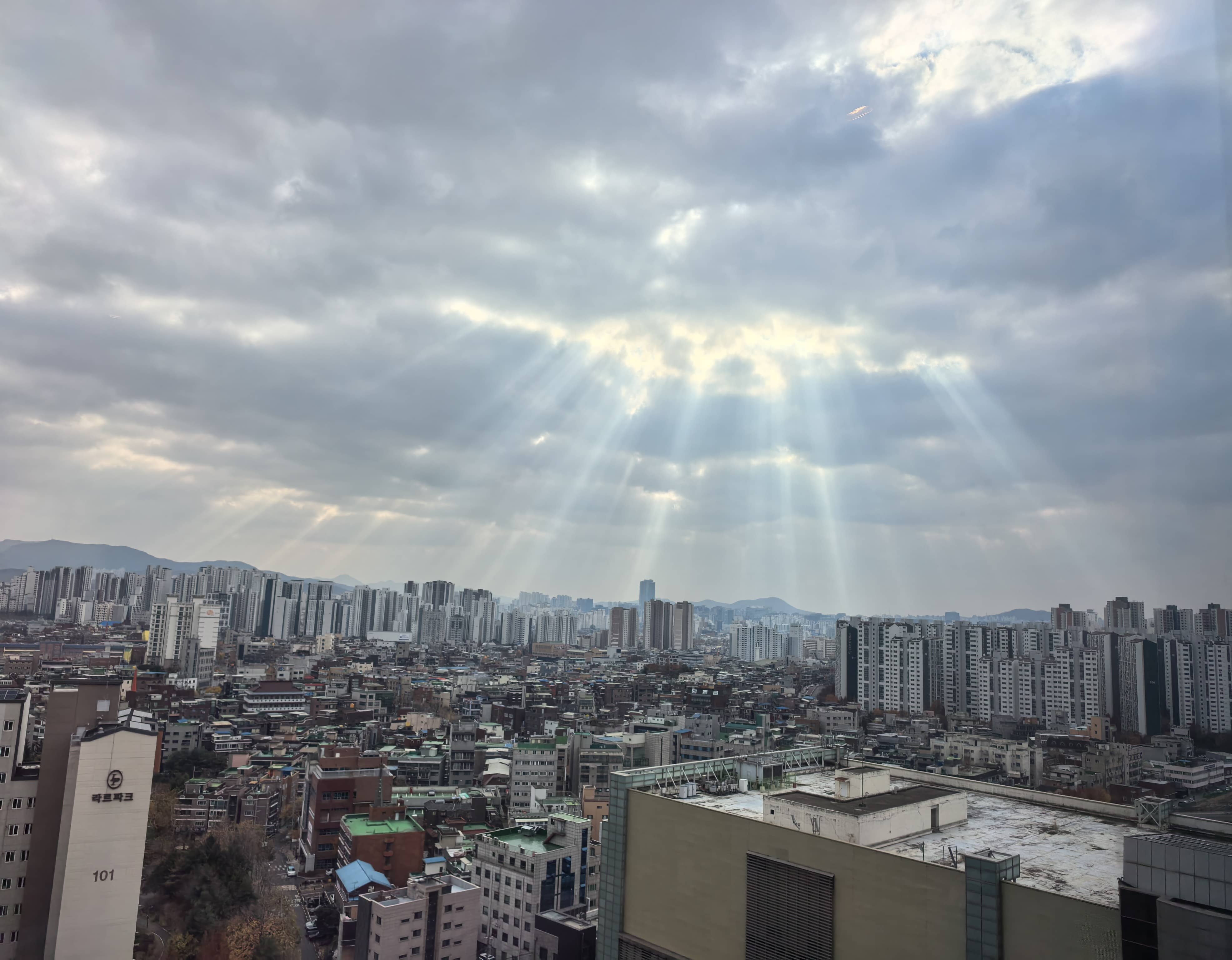 世界荒谬，但人仍要说话